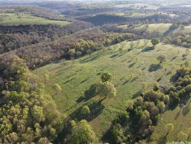 42 acres Wolf Springs Rd N, Harrison, AR 72601 - photo 2