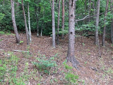 0 Roundabout Rd unit 35 CAR4252951, Lake Lure, NC 28746 - photo 7