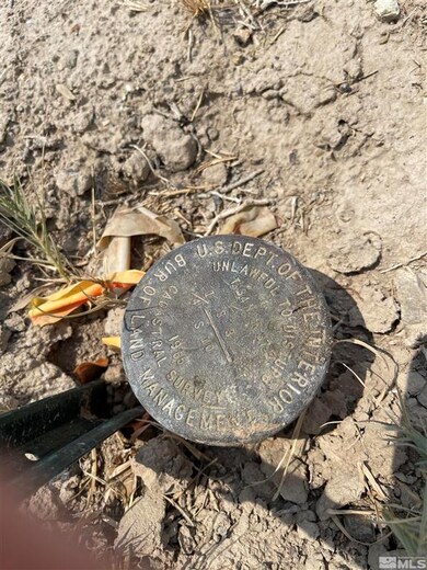 3135 Muddy Rd, Winnemucca, NV 89445 - photo 4