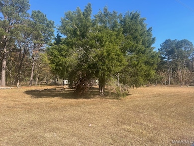 4.36 Acre Lot U S 80, Shorter, AL 36075 - photo 3