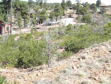 6210 Wildcat Trail, Show Low, AZ 85901 - photo 2