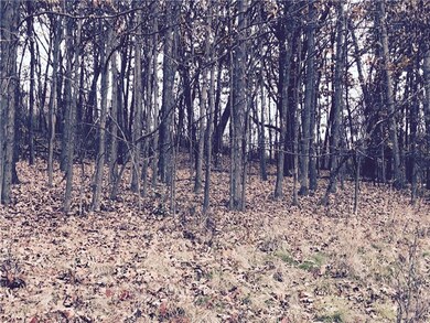 Woods the back up to property line and Adams Towns