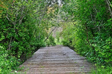 50000 Highway 62, Prospect, OR 97536 - photo 4