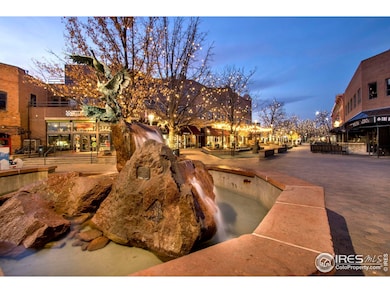 Carousel Image