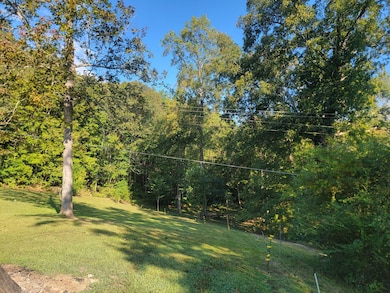 2285 Euchee Chapel Rd, Spring City, TN 37381 - photo 7