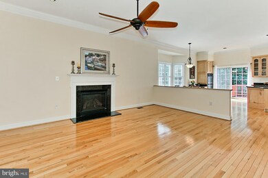 6915 Willow St, Falls Church, VA 22046 - photo 4