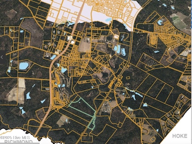 178 Laurel Oak Ln, Pinebluff, NC 28373 - photo 3