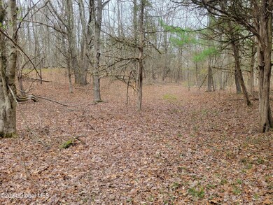 0 Post Hill Rd unit 202415587, Taghkanic, NY 12521 - photo 4