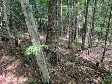 121 Fern Rd, Dover-Foxcroft, ME 04426 - photo 3