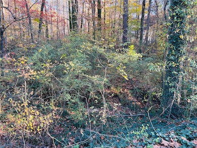 View of local wilderness