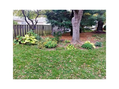 Yard.