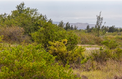 Everyday services—markets, fuel, eateries—are minutes away in Ocean View;