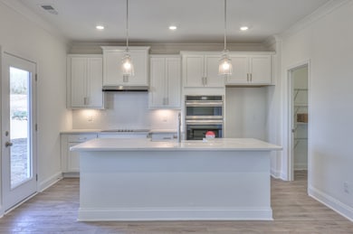 4908 Kai Dr, Murfreesboro, TN 37129 - photo 7