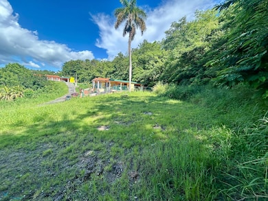 10 Carr 412 Solar D-, Rincon, PR 00677 - photo 4