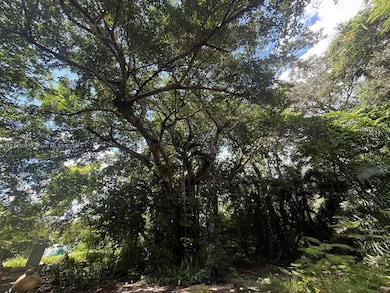 825 NE 149th St, North Miami, FL 33161 - photo 3