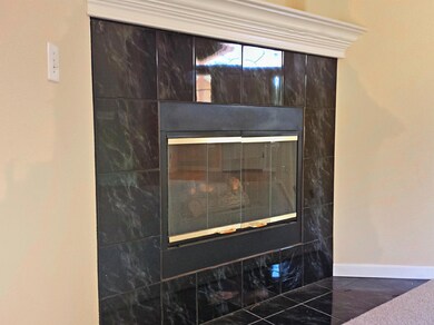 gas fireplace