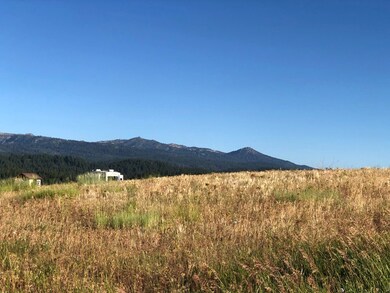 Lot 8 Smith Rd unit 8, Cascade, ID 83611 - photo 5