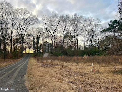 11654 Norris Twilley Rd, Mardela Springs, MD 21837 - photo 2