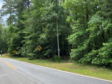 0 Possum Point Dr unit 48055, Eatonton, GA 31024 - photo 4