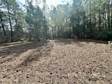 0 Pamlico Beach unit 100495750, Belhaven, NC 27810 - photo 4