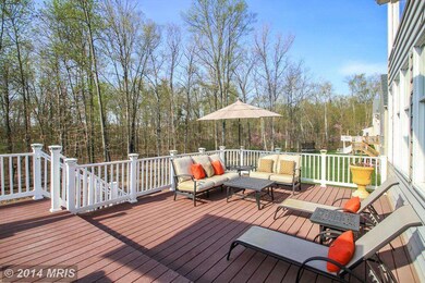 25363 Justice Dr, Chantilly, VA 20152 - photo 6