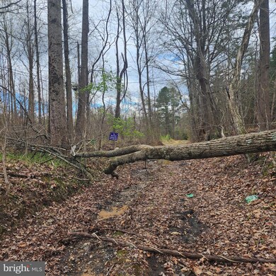 12947 Fletchertown Rd, Bowie, MD 20720 - photo 6