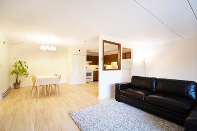 The Regal unit 4407, Medford, MA 02155 - photo 4