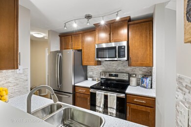 13 Burberry Cir unit 426, Schaumburg, IL 60173 - photo 7