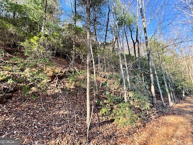 0 Mule Branch Rd unit 10655521, Helen, GA 30545 - photo 6