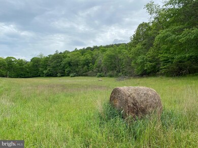 0 Virginia Line Rd unit WVMO116180, Berkeley Springs, WV 25411 - photo 2