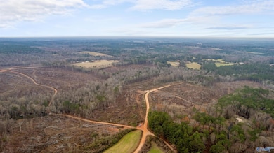 151.13 Acres County Road 673, Roanoke, AL 36278 - photo 2