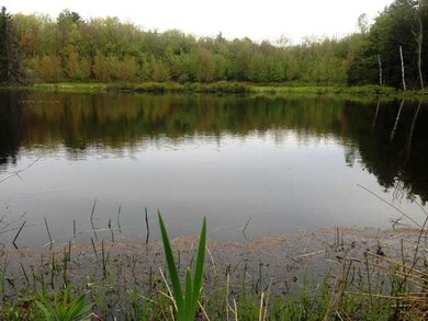 Land. Pond for your enjoyment...