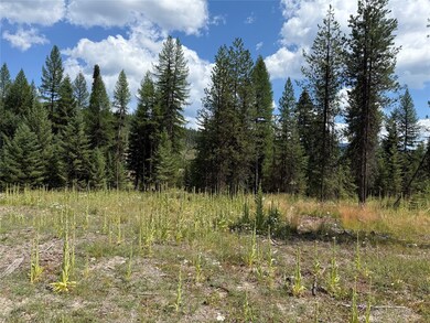 TBD Lot12 Schrieber Lake Subdivision, Libby, MT 59923 - photo 4