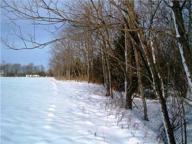 Land. West Side Lot/Tree Line.