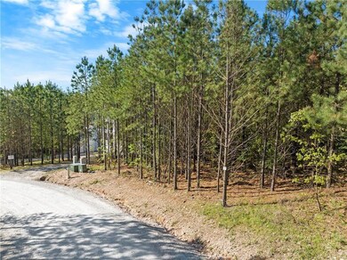 131 Spruce Trail, Broken Bow, OK 74728 - photo 3