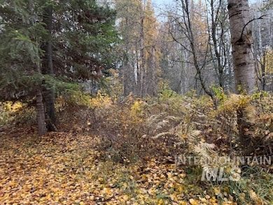 View of tree filled area
