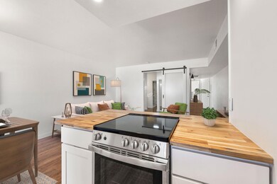 14-web-or-mls-8M4A9542