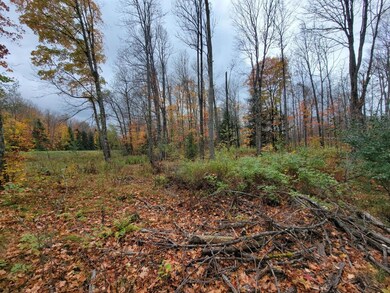 ON Cth A unit Lot 1, Deerbrook, WI 54424 - photo 5