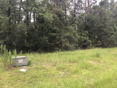 0 Hog Hedge unit 308876, Crawfordville, FL 32327 - photo 3