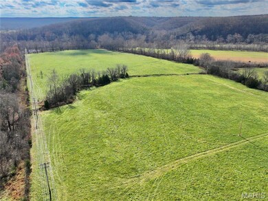 TBD 13B Highway 17, Unincorporated, MO 65452 - photo 7