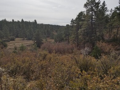 Rancho La Garita 230