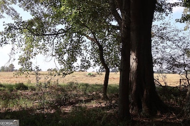 61 ACRES Barnesville Hwy, the Rock, GA 30285 - photo 6