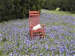 4026 Whitecrest Dr, Whitney, TX 76692 - photo 5