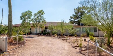 Mt View driveway1