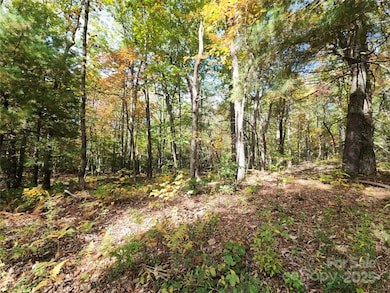 999999 N Pointe Dr unit 1, Zirconia, NC 28790 - photo 4