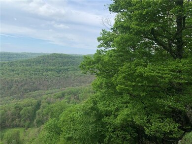 20895 Winfrey Valley Rd, Winslow, AR 72959 - photo 3