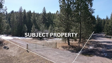 Aerial Driveway View