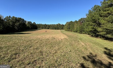 312.37 AC W Ellis Rd, Griffin, GA 30223 - photo 7