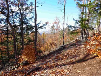 Lot 12 Dick Brown Rd, Bristol, NH 03222 - photo 4