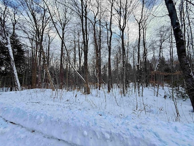 Lot 4 -156 High Peak Way, Wilmington, VT 05363 - photo 4